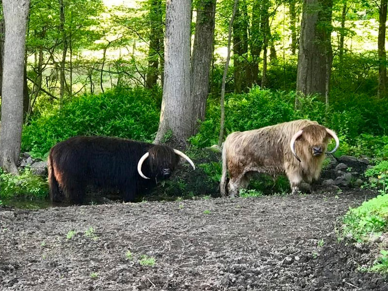 Spring, mud & hips…oh my!
