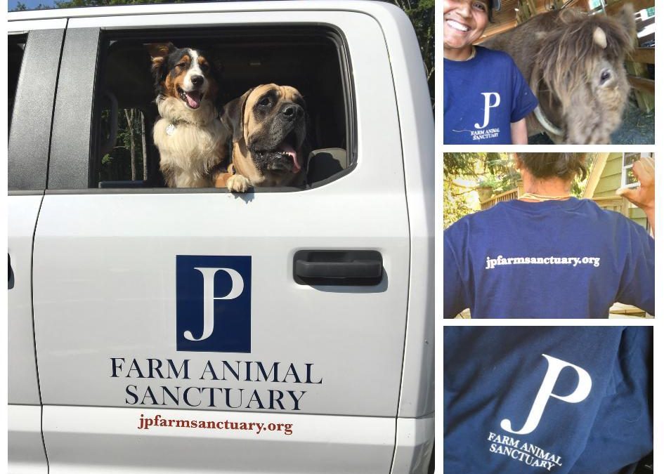 Summer lovin’ at JP Farm